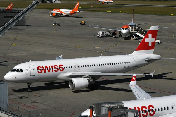 Quels sont les meilleurs spots pour l'observation des baleines en Afrique du Sud ?