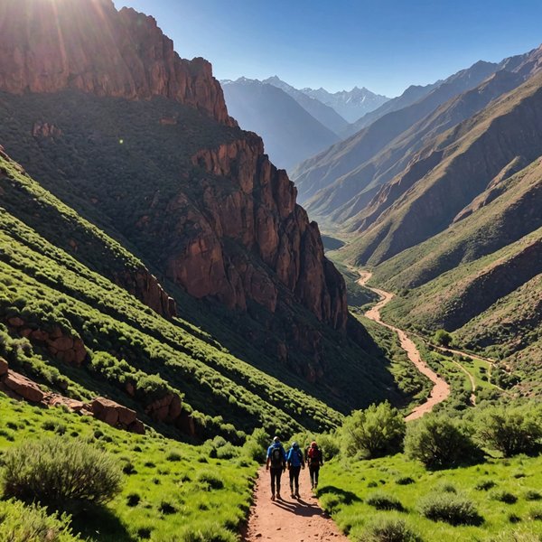 Où trouver les meilleures expériences de randonnée dans les montagnes de l'Atlas au Maroc ?